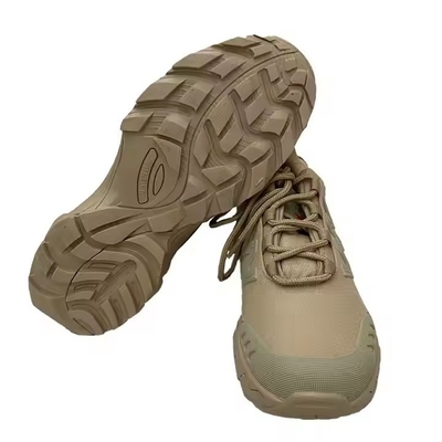 Tactical Training Hiking Shoes Outdoor Low Top Security Combat Shoe for Outdoor Activities