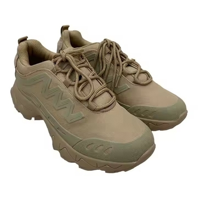 Tactical Training Hiking Shoes Outdoor Low Top Security Combat Shoe for Outdoor Activities